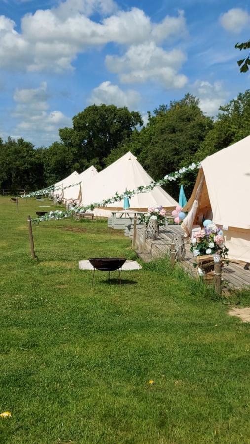 Hopgarden Glamping - Luxury 6M Bell Tent Wadhurst Exterior foto